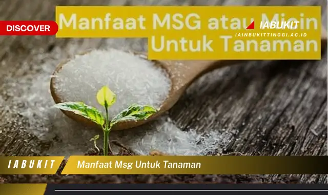 manfaat msg untuk tanaman