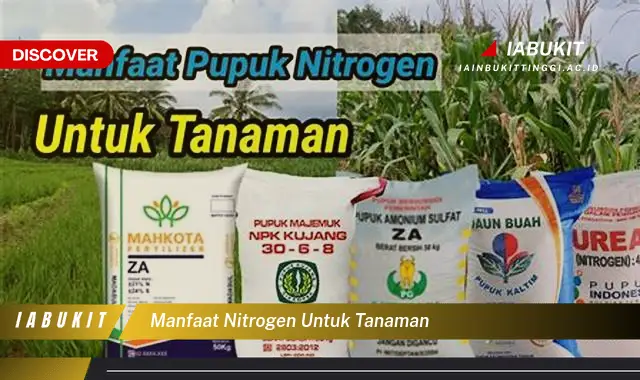 manfaat nitrogen untuk tanaman