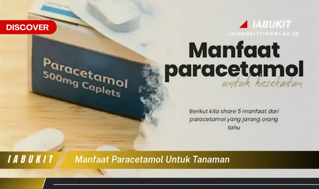 manfaat paracetamol untuk tanaman