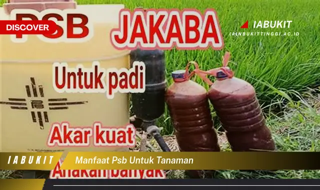 manfaat psb untuk tanaman