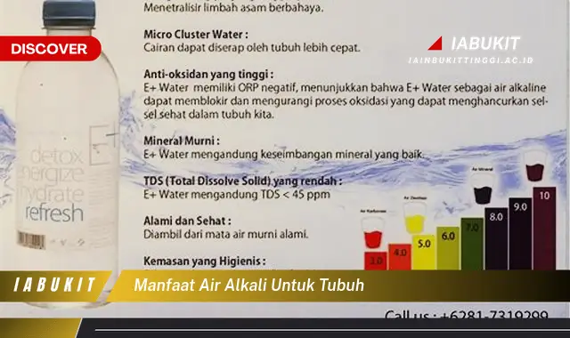 manfaat air alkali untuk tubuh