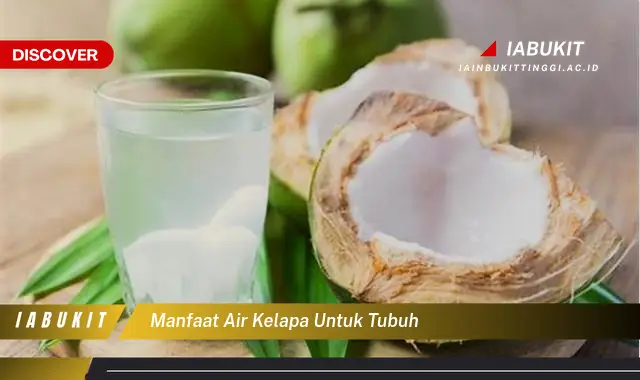 manfaat air kelapa untuk tubuh