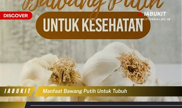 manfaat bawang putih untuk tubuh manfaat bawang putih untuk tubuh