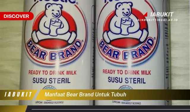 manfaat bear brand untuk tubuh