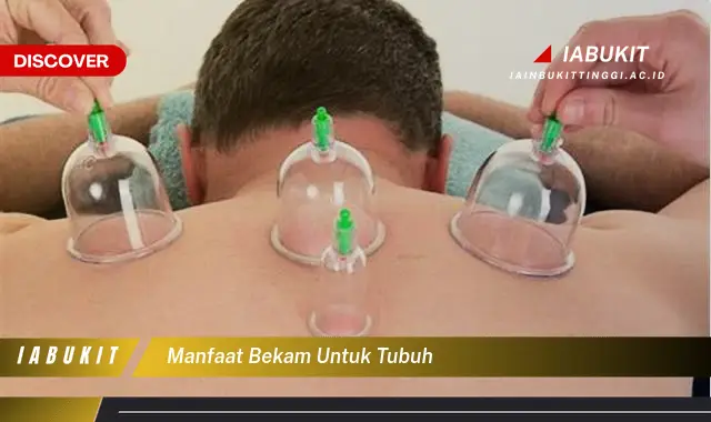 manfaat bekam untuk tubuh