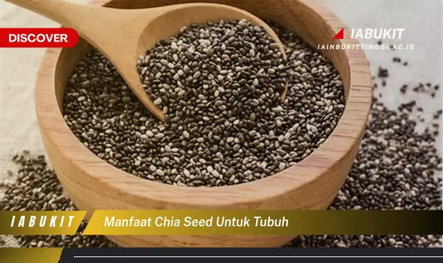 manfaat chia seed untuk tubuh