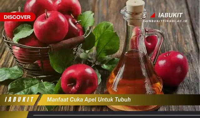 manfaat cuka apel untuk tubuh manfaat cuka apel untuk tubuh