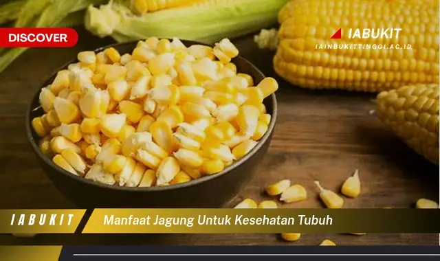 manfaat jagung untuk kesehatan tubuh