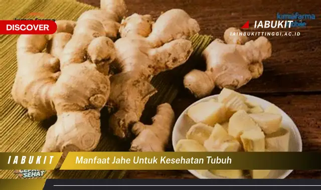 manfaat jahe untuk kesehatan tubuh