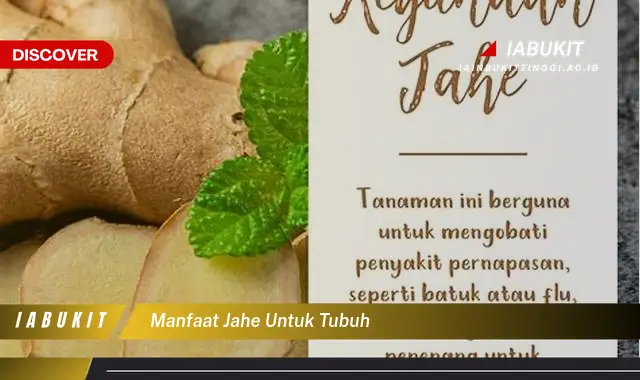 manfaat jahe untuk tubuh