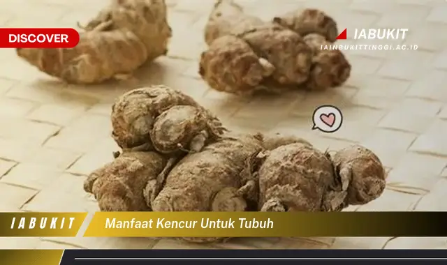 manfaat kencur untuk tubuh