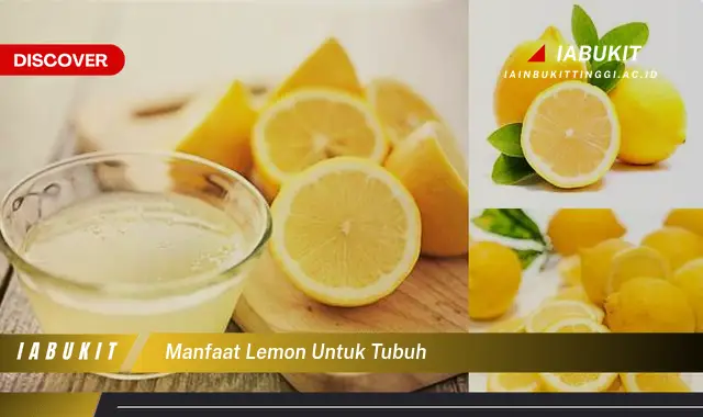 Ketahui 7 Manfaat Lemon untuk Tubuh yang Harus Kamu Intip