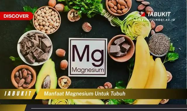 manfaat magnesium untuk tubuh