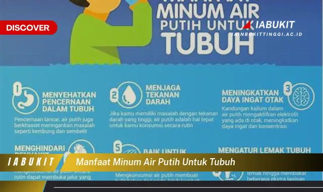 manfaat minum air putih untuk tubuh