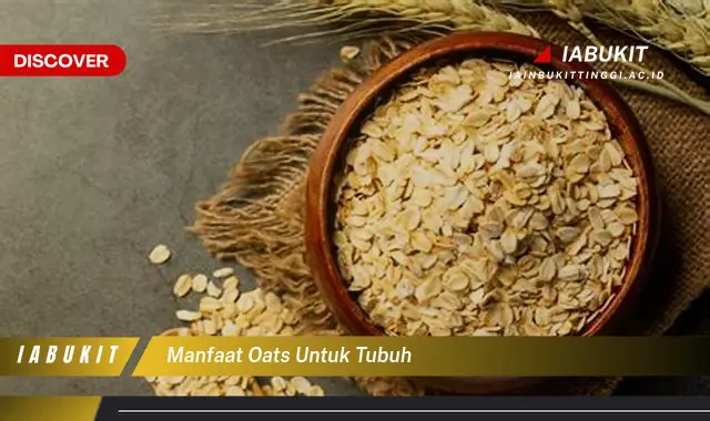 manfaat oats untuk tubuh