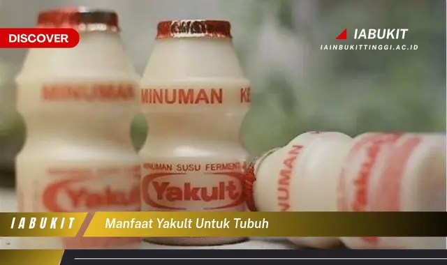 manfaat yakult untuk tubuh