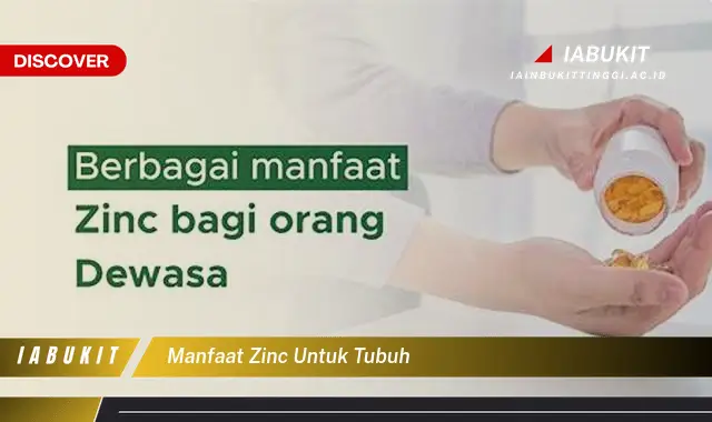 manfaat zinc untuk tubuh