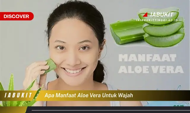 apa manfaat aloe vera untuk wajah