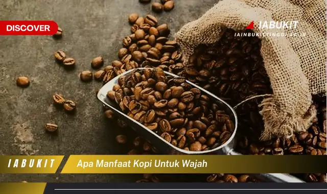 apa manfaat kopi untuk wajah apa manfaat kopi untuk wajah