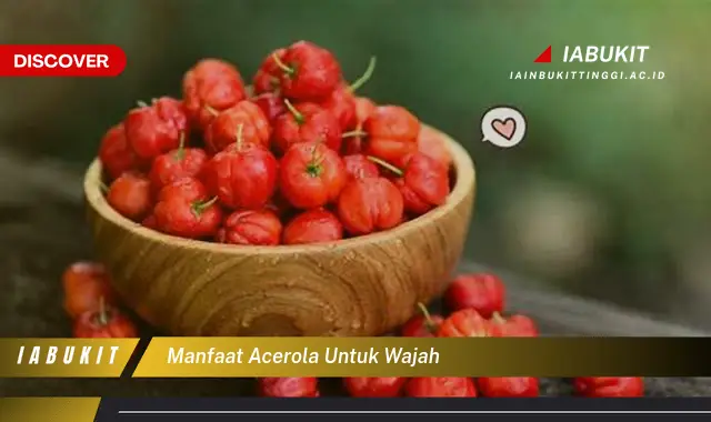 manfaat acerola untuk wajah