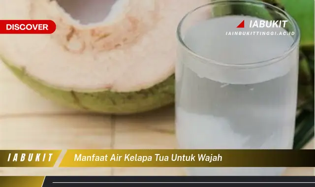 manfaat air kelapa tua untuk wajah