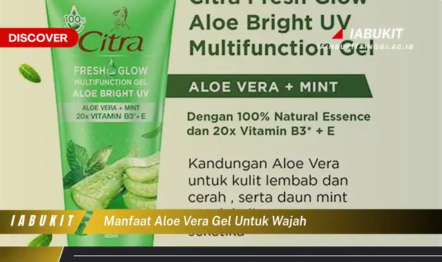 manfaat aloe vera gel untuk wajah