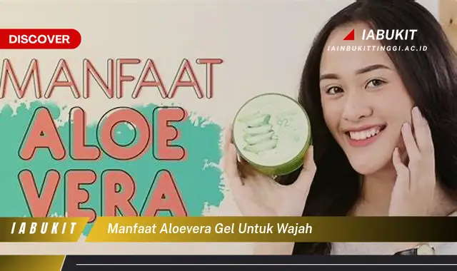 manfaat aloevera gel untuk wajah