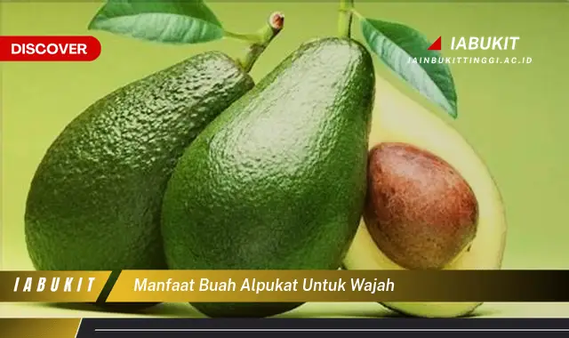 manfaat buah alpukat untuk wajah