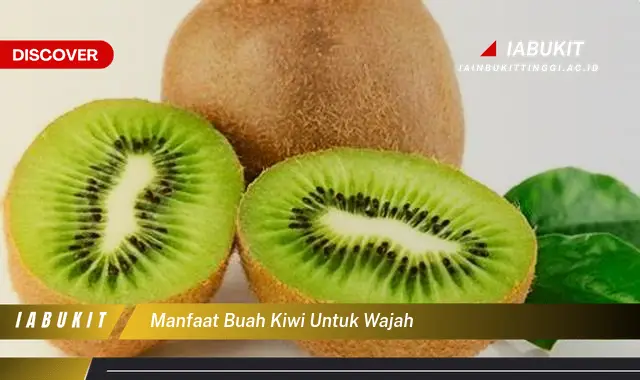 manfaat buah kiwi untuk wajah