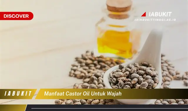 manfaat castor oil untuk wajah