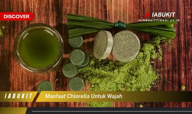 manfaat chlorella untuk wajah