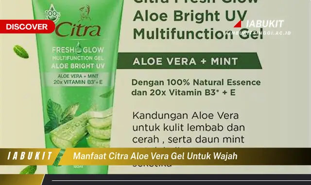 manfaat citra aloe vera gel untuk wajah manfaat citra aloe vera gel untuk wajah