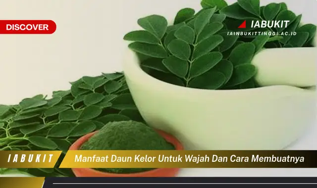 manfaat daun kelor untuk wajah dan cara membuatnya