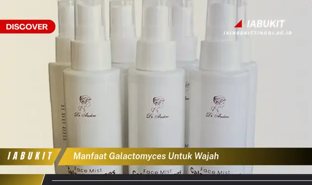 Temukan 7 Manfaat Galactomyces untuk Wajah yang Bikin Kamu Penasaran