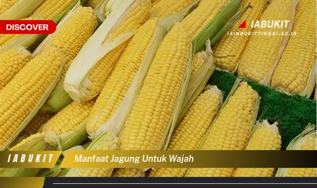 Ketahui 7 Manfaat Jagung untuk Wajah, Bikin Kamu Penasaran