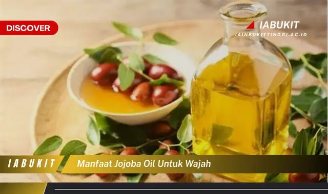 manfaat jojoba oil untuk wajah