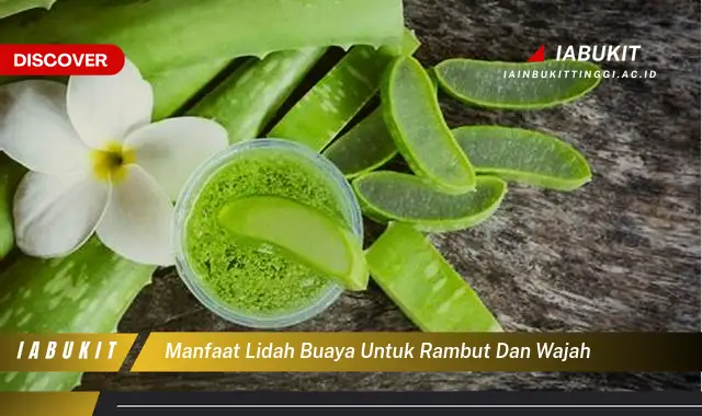 manfaat lidah buaya untuk rambut dan wajah