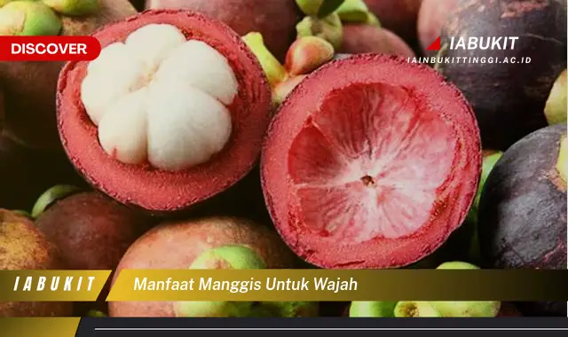 manfaat manggis untuk wajah manfaat manggis untuk wajah