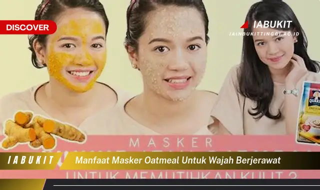 manfaat masker oatmeal untuk wajah berjerawat