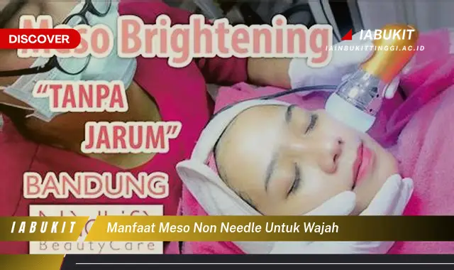manfaat meso non needle untuk wajah manfaat meso non needle untuk wajah