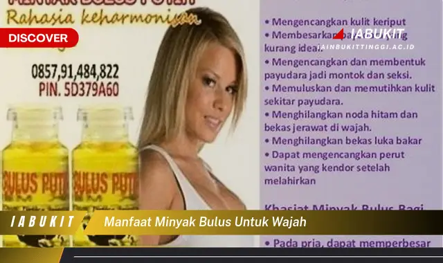 manfaat minyak bulus untuk wajah