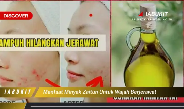 manfaat minyak zaitun untuk wajah berjerawat