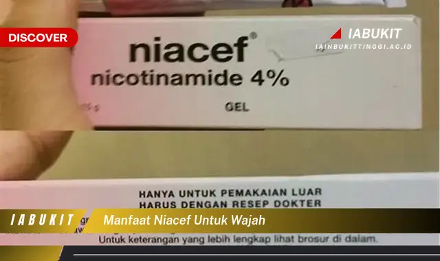 manfaat niacef untuk wajah