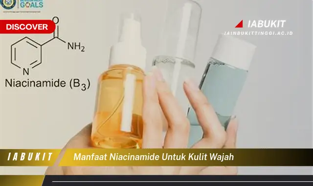 manfaat niacinamide untuk kulit wajah