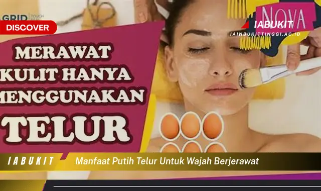 manfaat putih telur untuk wajah berjerawat