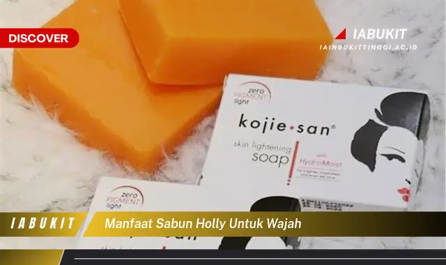 Ketahui 7 Manfaat Sabun Holly untuk Wajah yang Bikin Kamu Penasaran