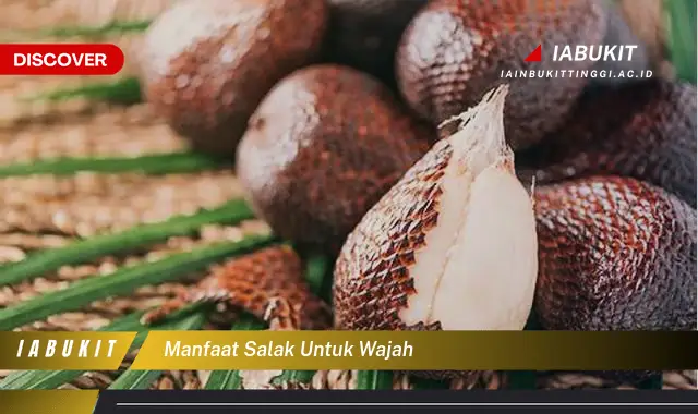 manfaat salak untuk wajah