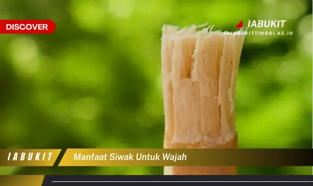 manfaat siwak untuk wajah