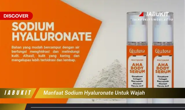 manfaat sodium hyaluronate untuk wajah