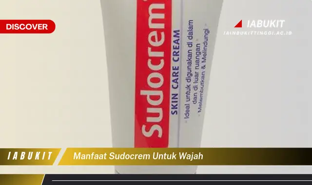 manfaat sudocrem untuk wajah